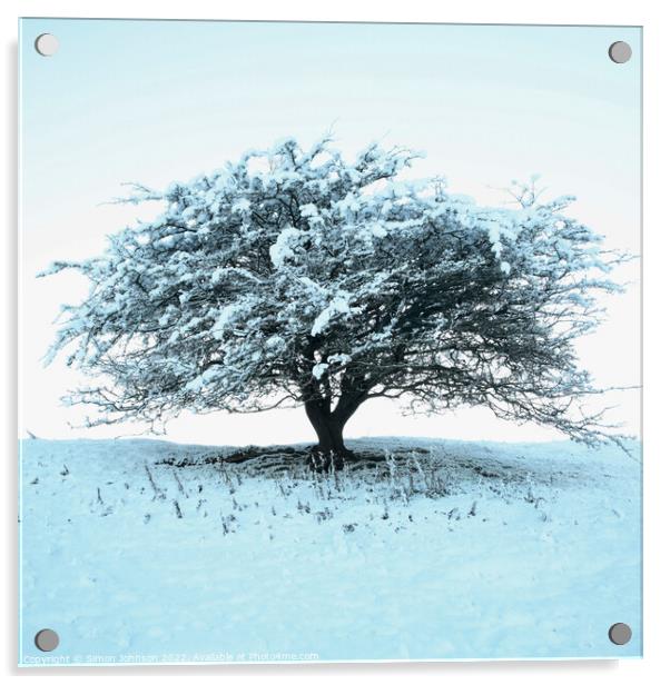 Frosted tree Acrylic by Simon Johnson