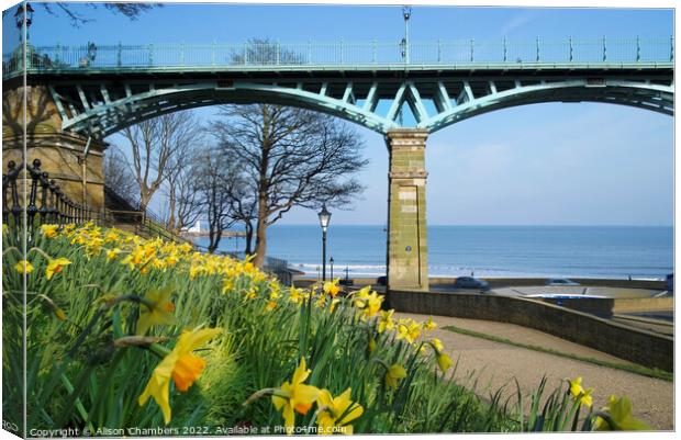Scarborough Cliff Bridge and Daffodils  Canvas Print by Alison Chambers