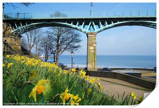 Scarborough Cliff Bridge and Daffodils  Print by Alison Chambers