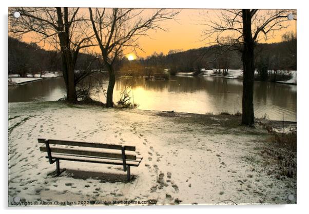 Winter in Dearne Valley Park Acrylic by Alison Chambers