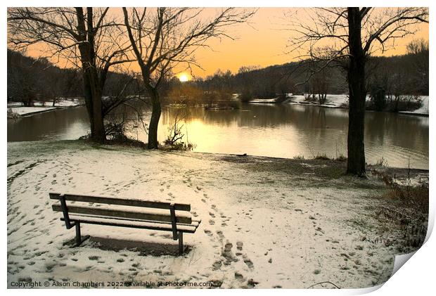 Winter in Dearne Valley Park Print by Alison Chambers