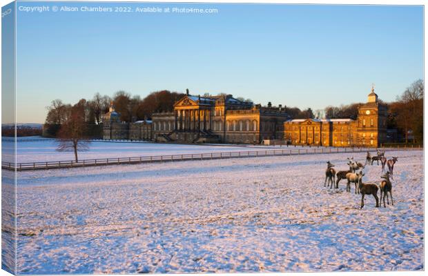 Wentworth Woodhouse in Winter Canvas Print by Alison Chambers