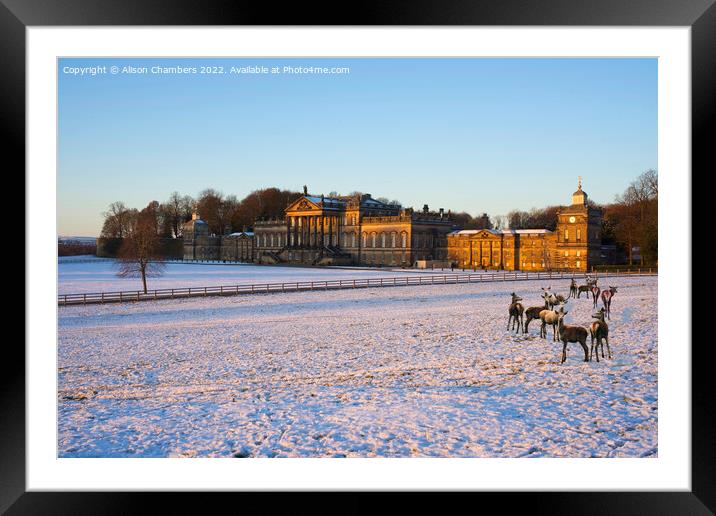 Wentworth Woodhouse in Winter Framed Mounted Print by Alison Chambers