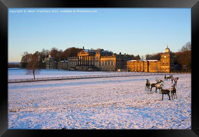 Wentworth Woodhouse in Winter Framed Print by Alison Chambers