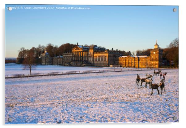 Wentworth Woodhouse in Winter Acrylic by Alison Chambers