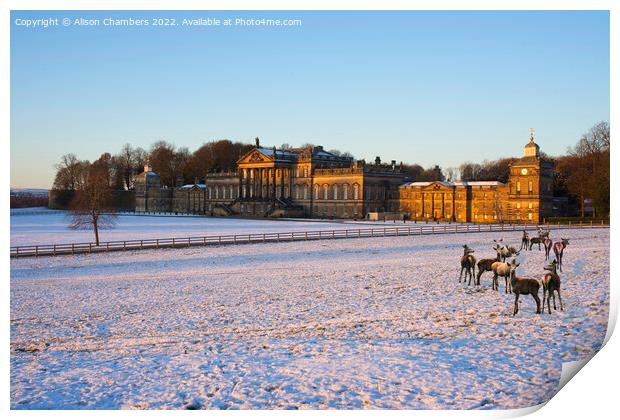 Wentworth Woodhouse in Winter Print by Alison Chambers