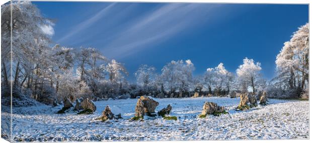 Snow on the Rollright Stones Canvas Print by Cliff Kinch