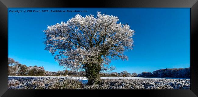 Majestic Oak Tree in Winter Wonderland Framed Print by Cliff Kinch