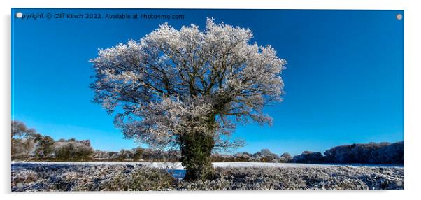 Majestic Oak Tree in Winter Wonderland Acrylic by Cliff Kinch