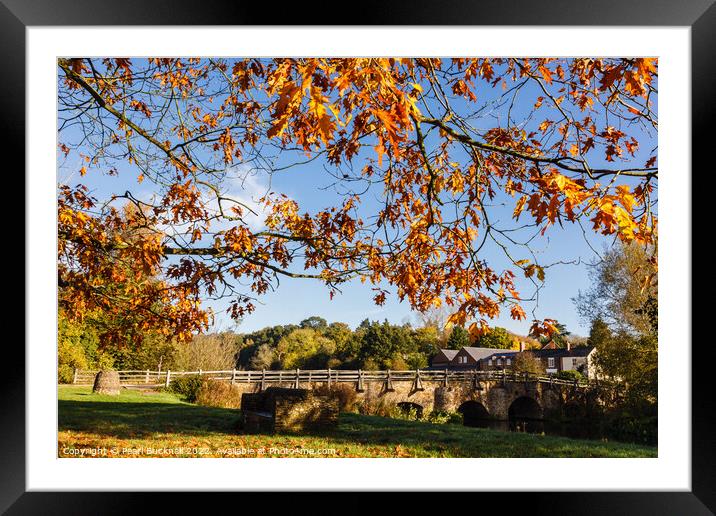 River Wey at Tilford Surrey Framed Mounted Print by Pearl Bucknall