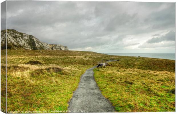 Samphire Hoe Country Park Kent Canvas Print by Diana Mower