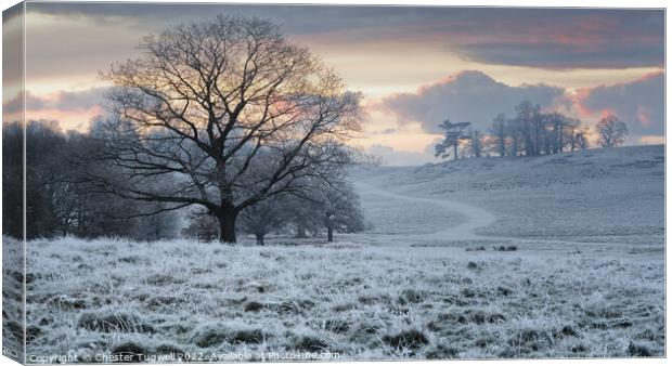 Frosty Winter's Morning at Petworth Park Canvas Print by Chester Tugwell