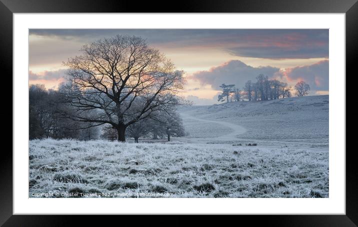 Frosty Winter's Morning at Petworth Park Framed Mounted Print by Chester Tugwell