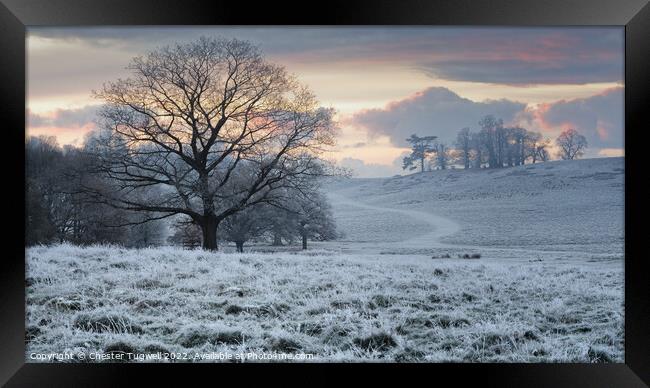 Frosty Winter's Morning at Petworth Park Framed Print by Chester Tugwell