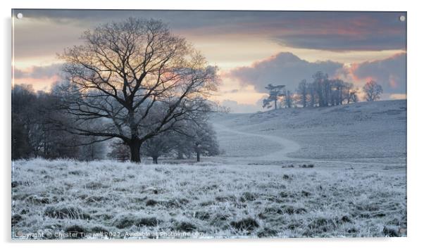 Frosty Winter's Morning at Petworth Park Acrylic by Chester Tugwell