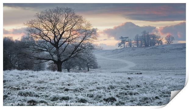 Frosty Winter's Morning at Petworth Park Print by Chester Tugwell