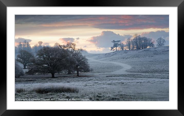 Petworth Park - Winter's Morning Framed Mounted Print by Chester Tugwell
