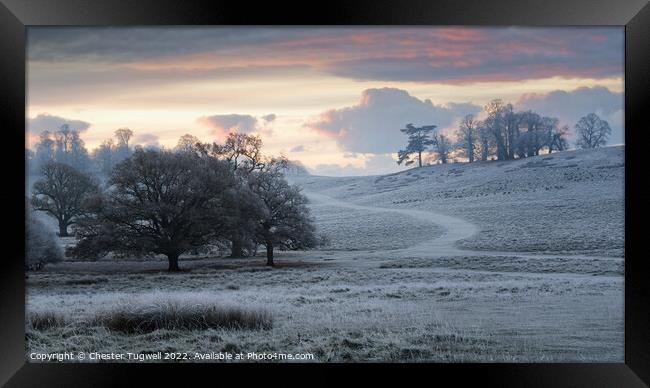 Petworth Park - Winter's Morning Framed Print by Chester Tugwell