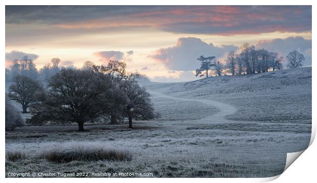 Petworth Park - Winter's Morning Print by Chester Tugwell