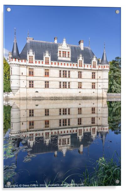 Reflections in the pond at Château d'Azay-le-Rideau. France Acrylic by Dave Collins