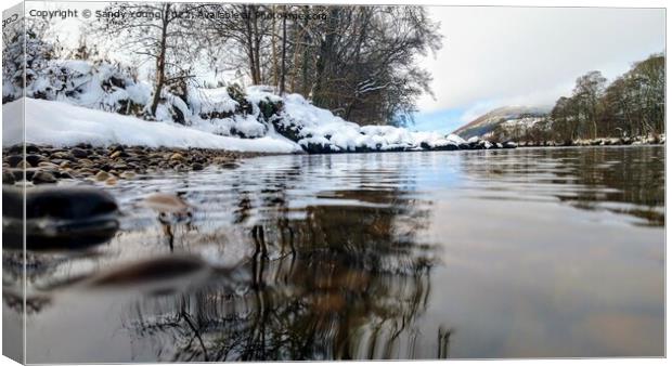 Serenity on the Snowy Tay Canvas Print by Sandy Young