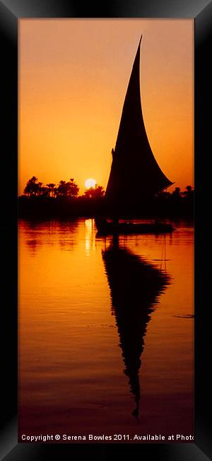Sunset Felucca on the Nile Framed Print by Serena Bowles