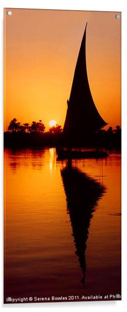 Sunset Felucca on the Nile Acrylic by Serena Bowles