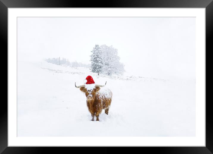 Merry Christmas  Framed Mounted Print by JC studios LRPS ARPS