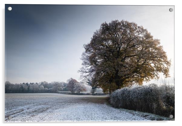 Frosty Morning Acrylic by Mark Jones