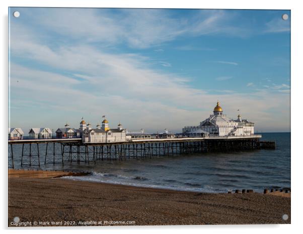 Eastbourne Pier in December Acrylic by Mark Ward