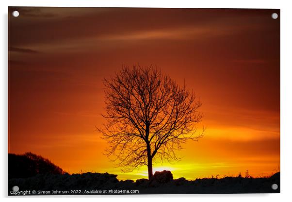 Winter sunrise Acrylic by Simon Johnson