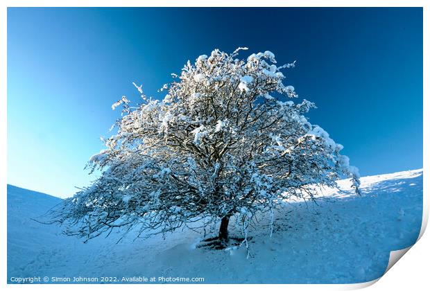 frosted tree Print by Simon Johnson