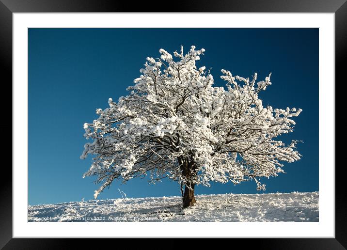 winter tree Framed Mounted Print by Simon Johnson