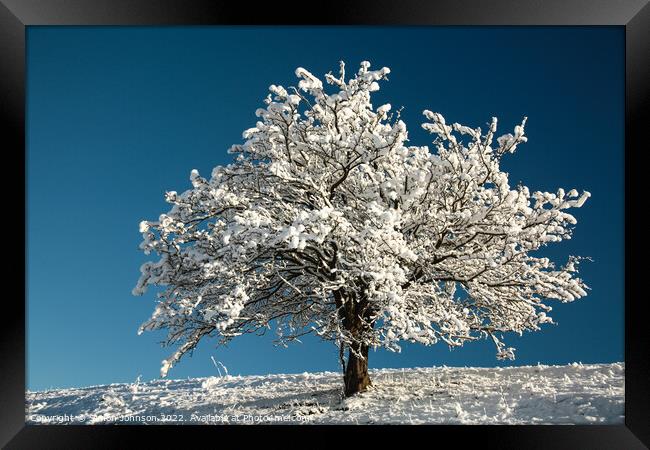 winter tree Framed Print by Simon Johnson