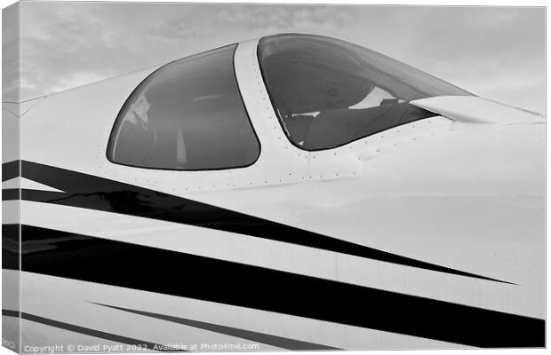 Executive Jet Canopy  Canvas Print by David Pyatt