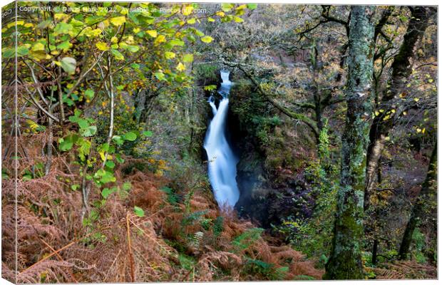 Aira Force Canvas Print by David Hare