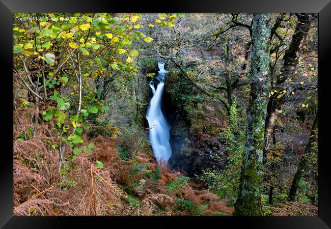 Aira Force Framed Print by David Hare