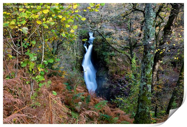 Aira Force Print by David Hare