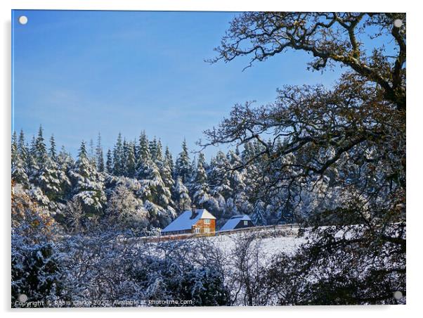 Winter Wonderland Acrylic by Robin Clarke
