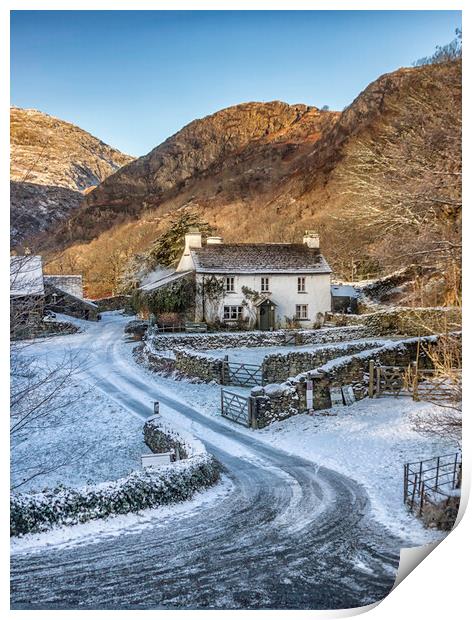 Majestic Yew Tree Farmhouse Print by James Marsden