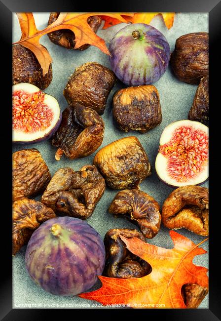 Dried and fresh figs. Framed Print by Mykola Lunov Mykola