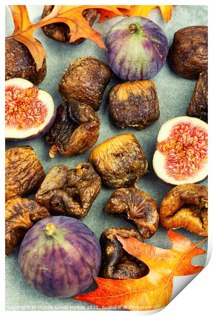 Dried and fresh figs. Print by Mykola Lunov Mykola