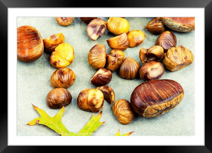 Peeled roasted chestnuts and autumn leaves Framed Mounted Print by Mykola Lunov Mykola