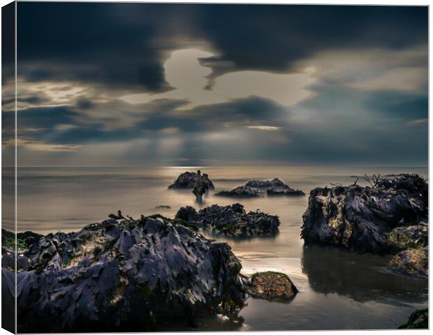 A Seaside Long Exposure - The Warren Folkstone Kent Canvas Print by Billy McGarry