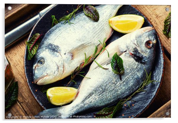 Appetizing fresh gilthead fish Acrylic by Mykola Lunov Mykola