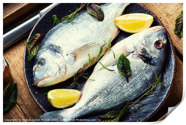 Appetizing fresh gilthead fish Print by Mykola Lunov Mykola