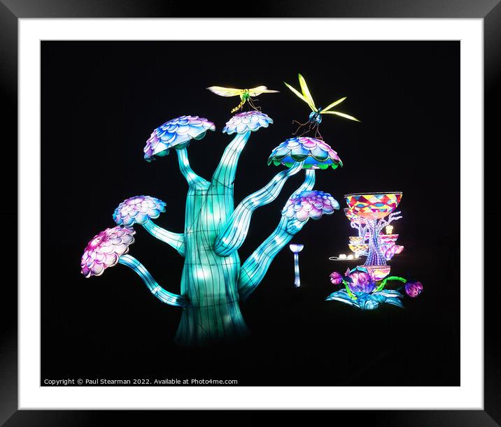 Night Light Abstract Toadstools and Dragonflies Framed Mounted Print by Paul Stearman