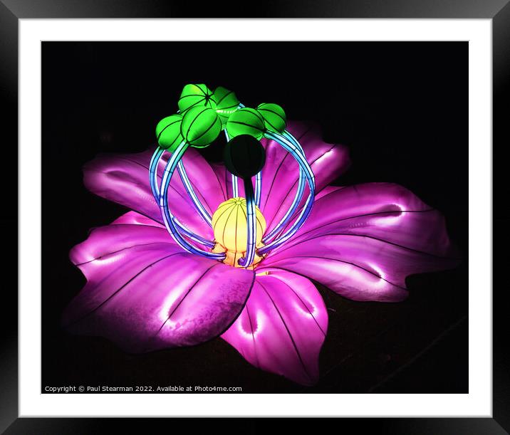 Brightly lit abstract purple, blue, green and yellow flower Framed Mounted Print by Paul Stearman