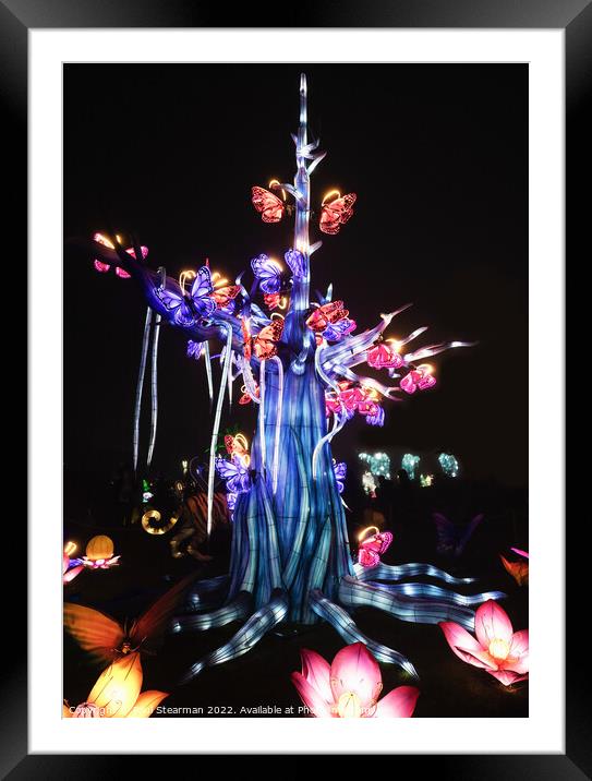 Abstract Coloured Tree with Butterflies Framed Mounted Print by Paul Stearman