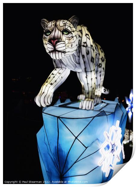 Abstract brightly lit  Snow Leopard taken at Night Print by Paul Stearman